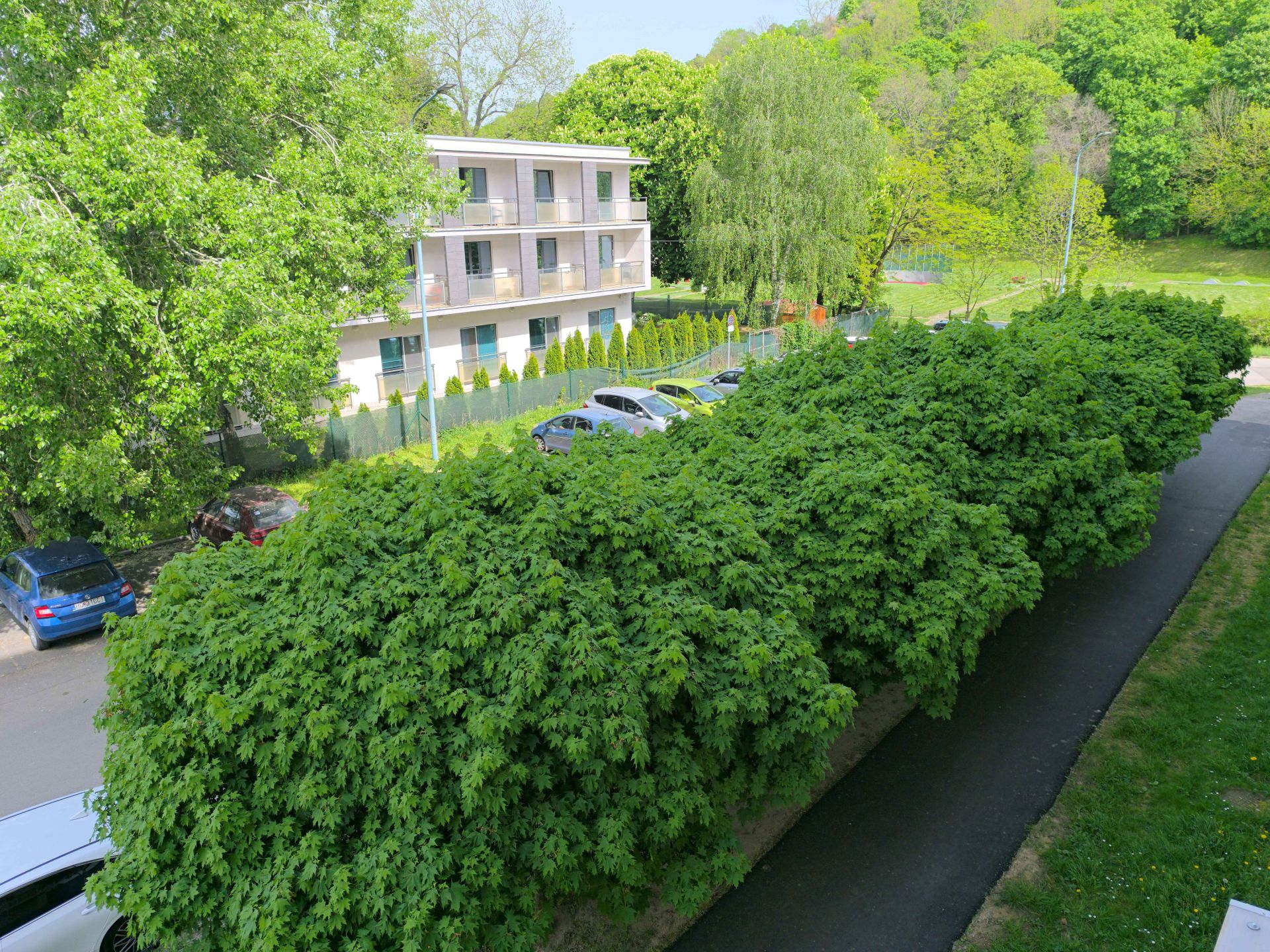 PREDANÉ - 3 izbový byt v Hlohovci s výhľadom na Zámok