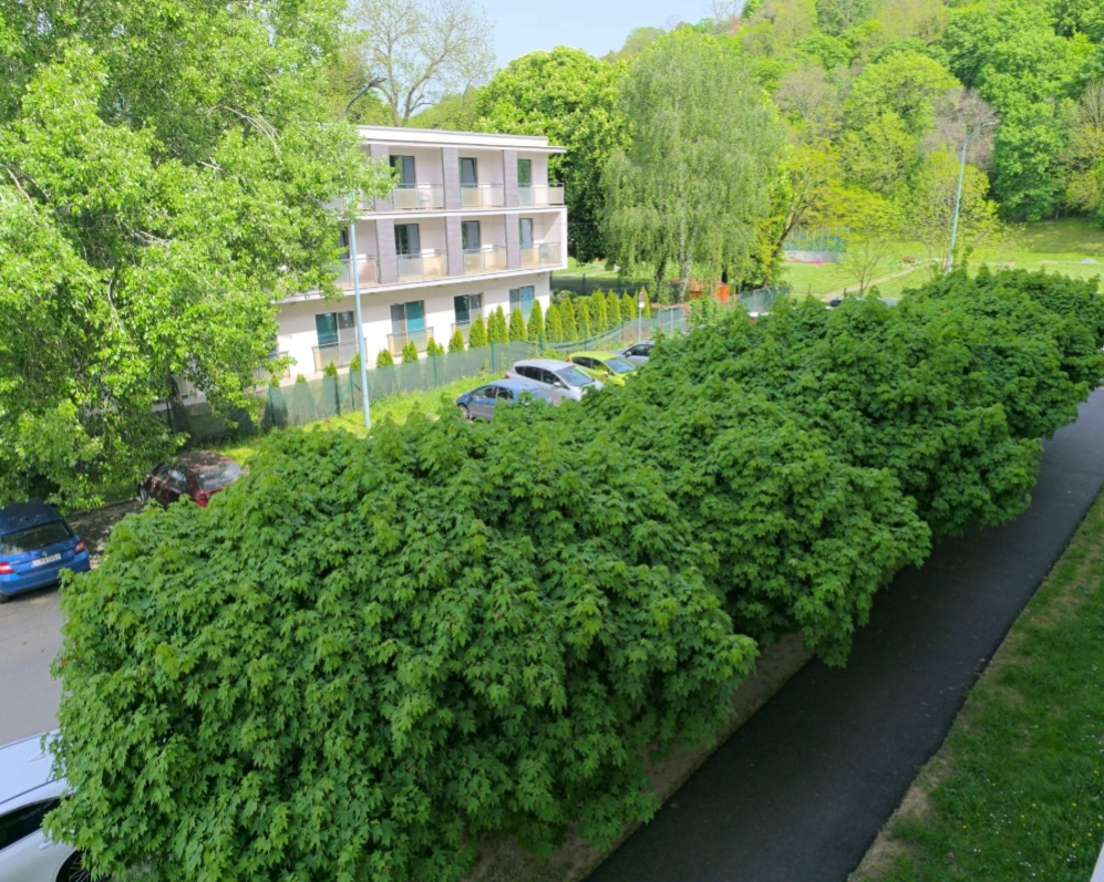 PREDANÉ - 3 izbový byt v Hlohovci s výhľadom na Zámok