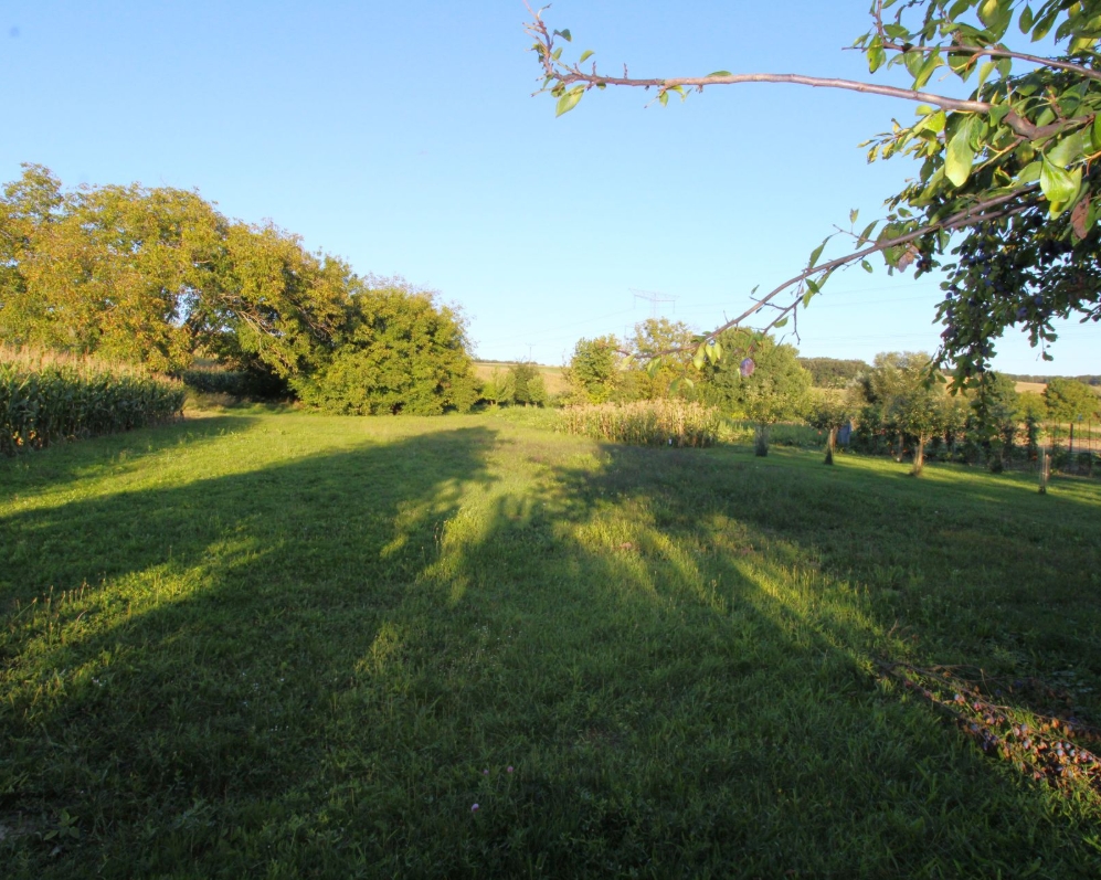 PREDANÉ - Rodinný dom s veľkou záhradou v Sasinkove